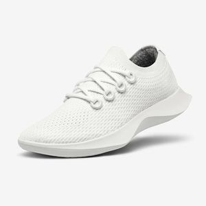 Allbirds Running Sneakers 
Womens tree dashers